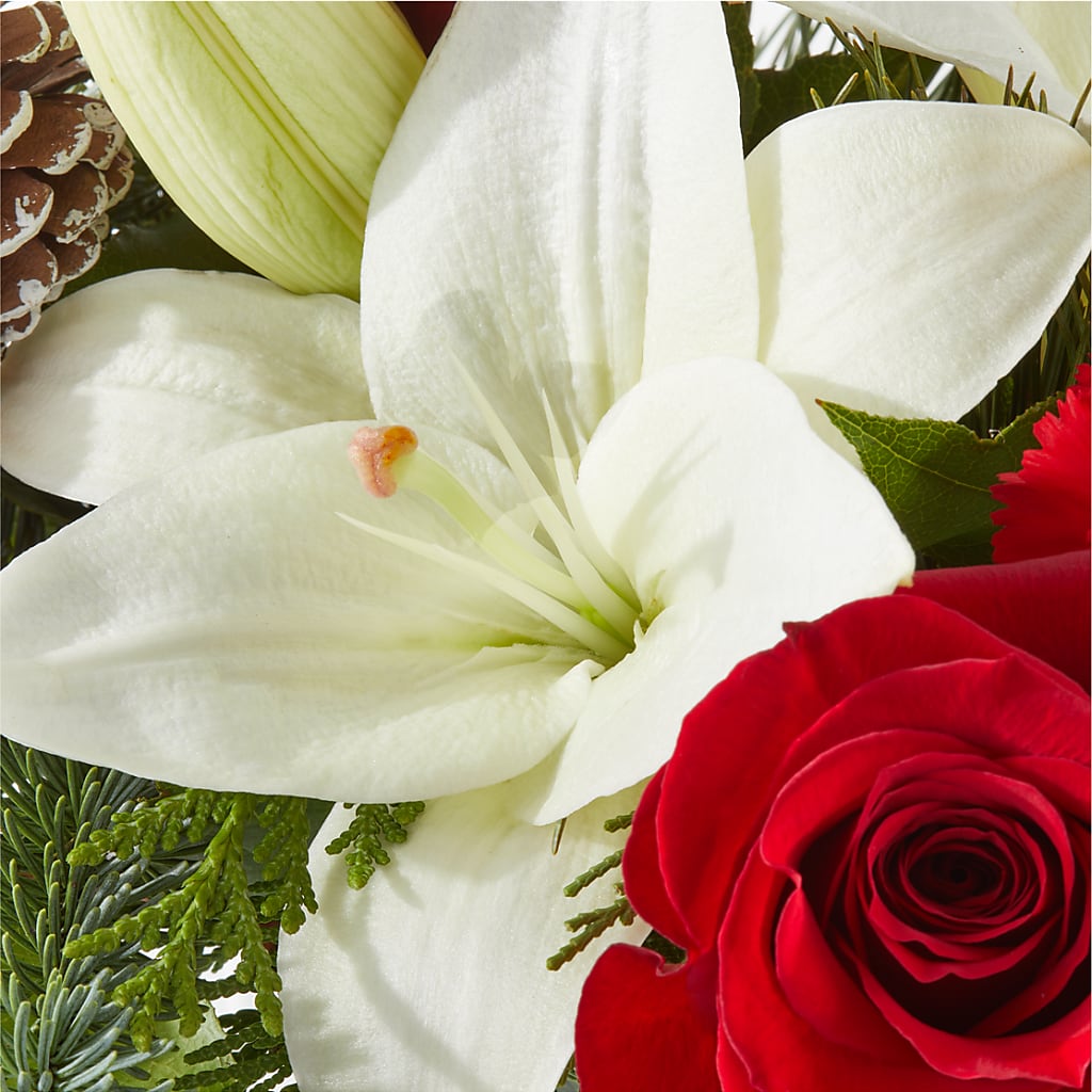 Oh So Jolly Bouquet – MR K'S FLOWERS, Littleton CO