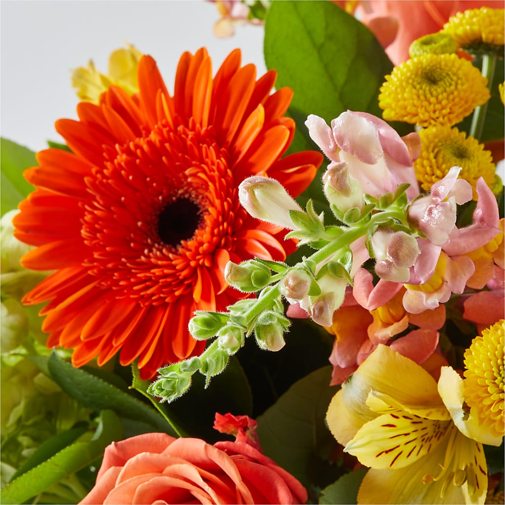 Autumn Sunshine Bouquet – MR K'S FLOWERS, Littleton CO