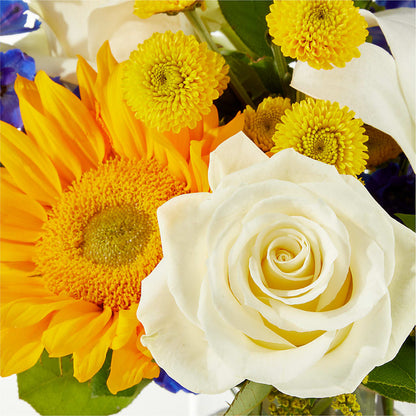 Stargazing Bouquet – MR K'S FLOWERS, Littleton CO