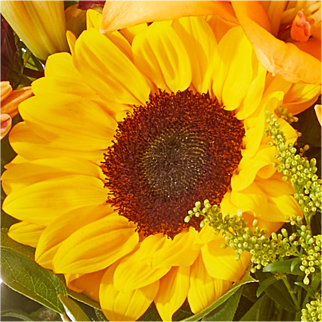Seasons Change Bouquet – MR K'S FLOWERS, Littleton CO