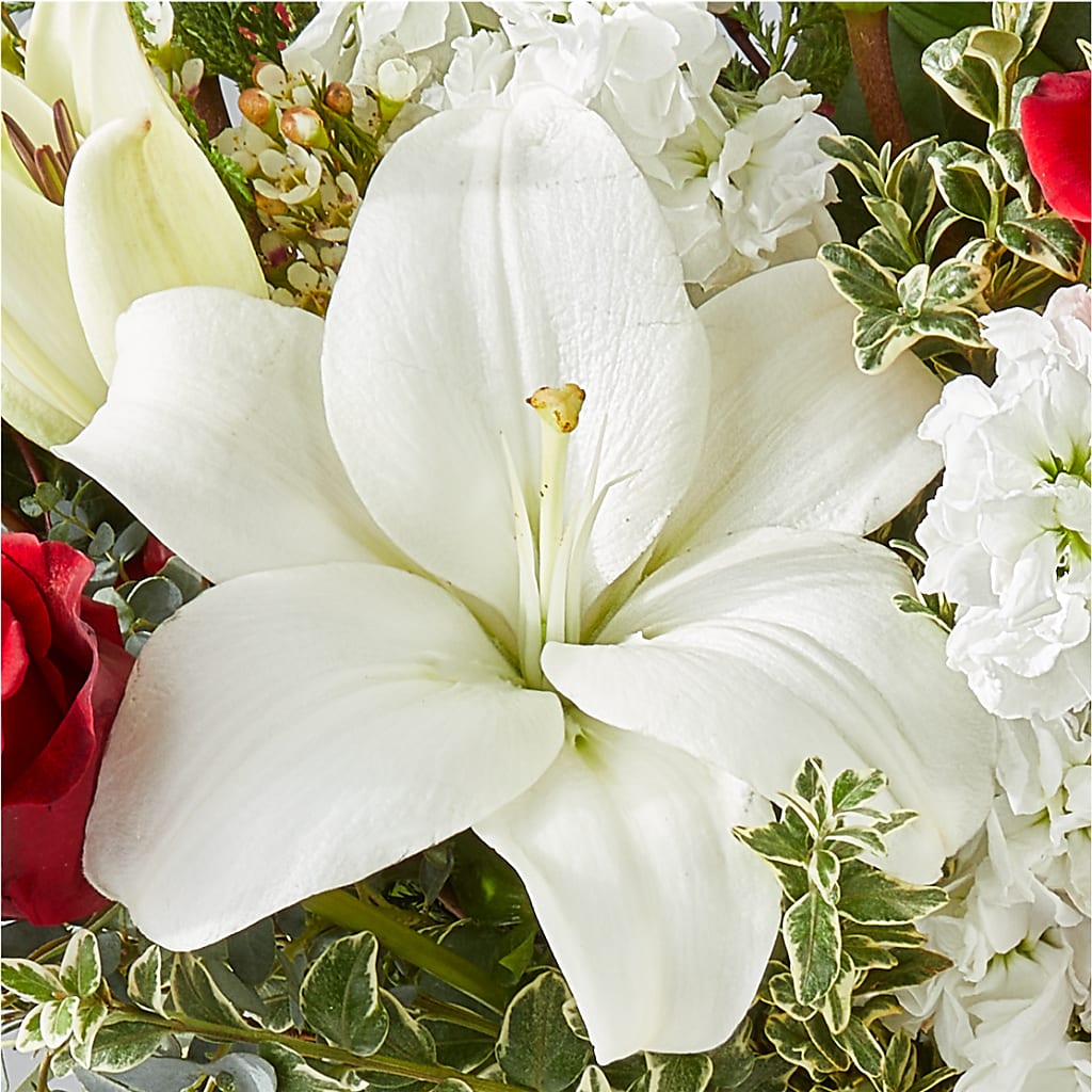 Twinkle Lights Bouquet – MR K'S FLOWERS, Littleton CO