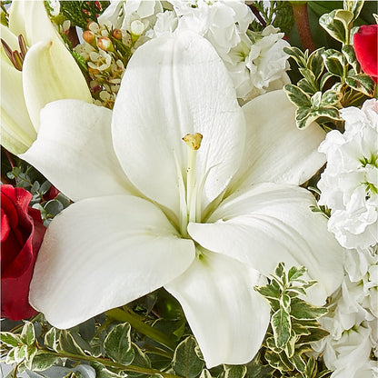 Twinkle Lights Bouquet – MR K'S FLOWERS, Littleton CO