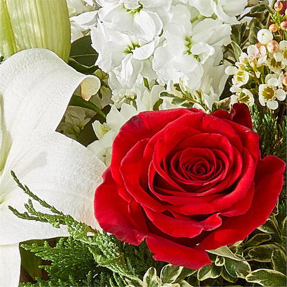 Twinkle Lights Bouquet – MR K'S FLOWERS, Littleton CO