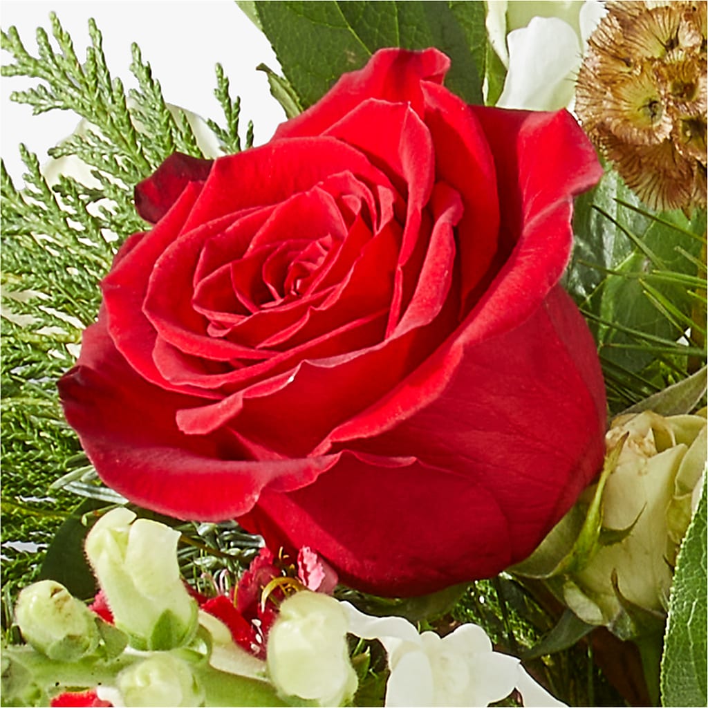Deck the Halls Bouquet – MR K'S FLOWERS, Littleton CO