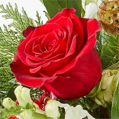Deck the Halls Bouquet – MR K'S FLOWERS, Littleton CO