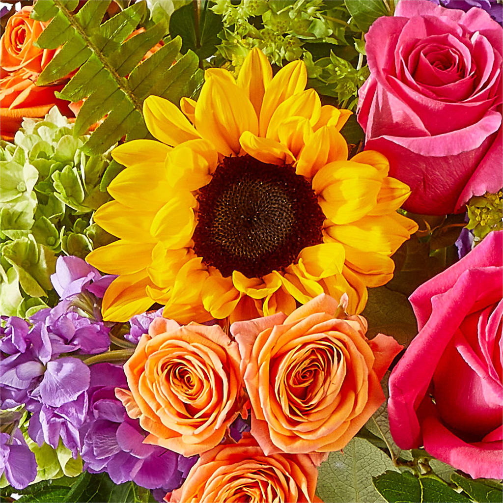 Vibrant Greetings Bouquet – MR K'S FLOWERS, Littleton CO