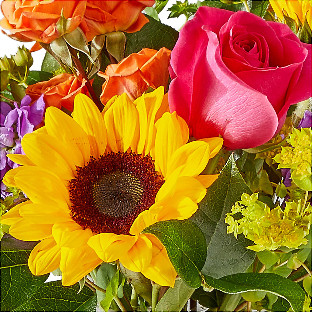Vibrant Greetings Bouquet – MR K'S FLOWERS, Littleton CO