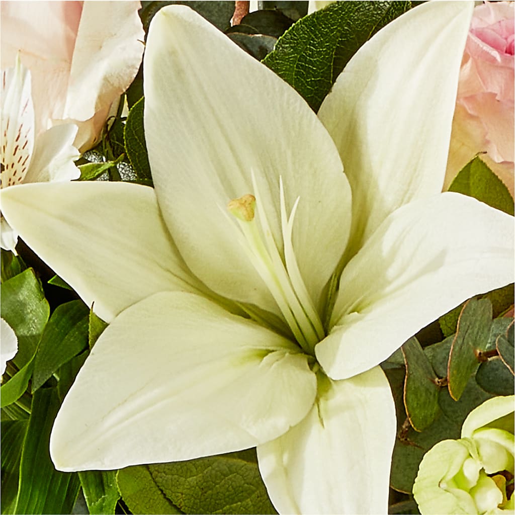 Ballet Slippers Bouquet – MR K'S FLOWERS, Littleton CO