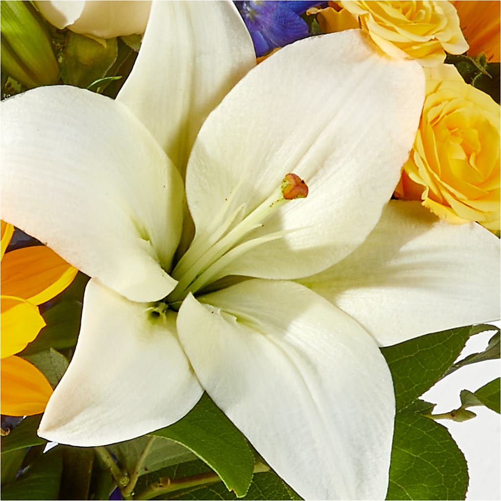 Wonderfully Sunny Bouquet – MR K'S FLOWERS, Littleton CO