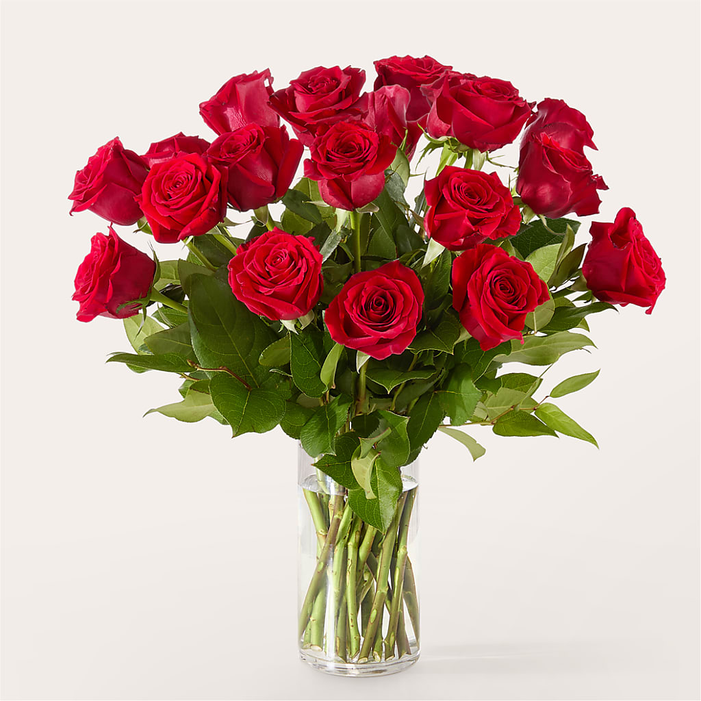 The One Red Rose Bouquet – MR K'S FLOWERS, Littleton CO