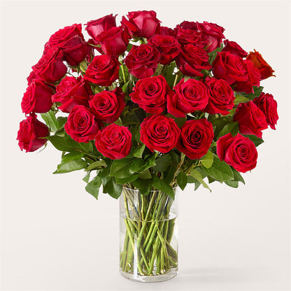 The One Red Rose Bouquet – MR K'S FLOWERS, Littleton CO