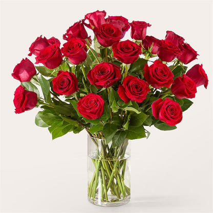 The One Red Rose Bouquet – MR K'S FLOWERS, Littleton CO