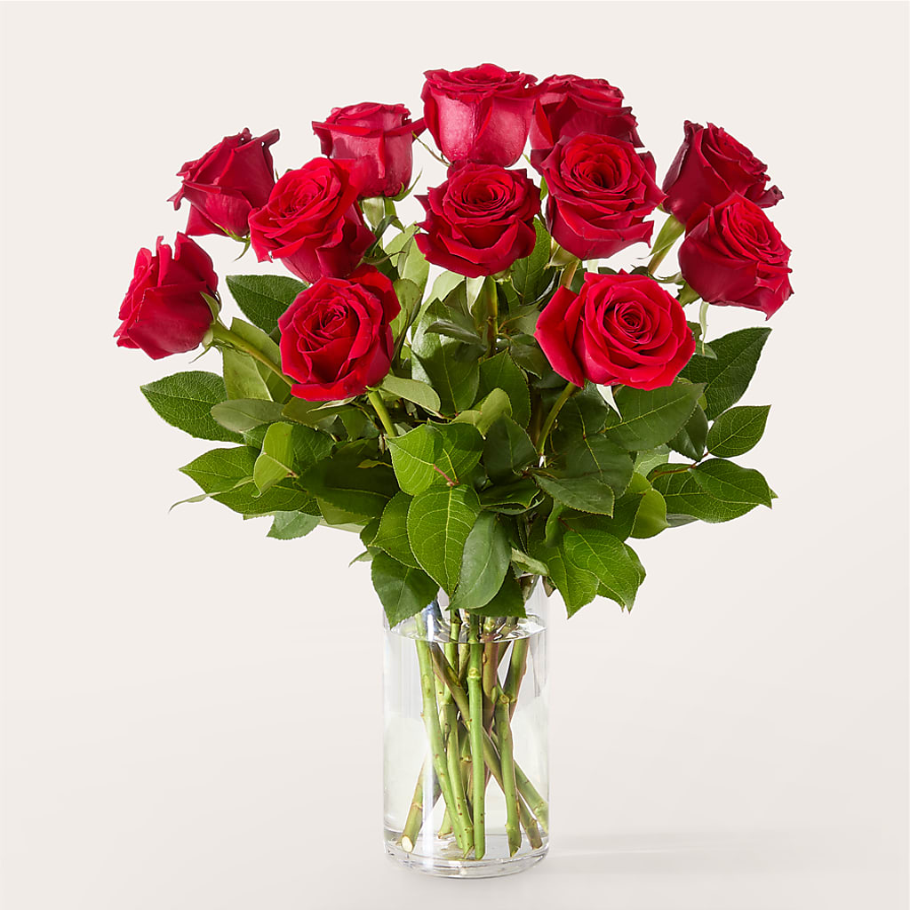 The One Red Rose Bouquet – MR K'S FLOWERS, Littleton CO
