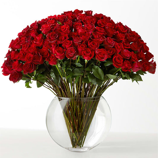 The Idealist – MR K'S FLOWERS, Littleton CO