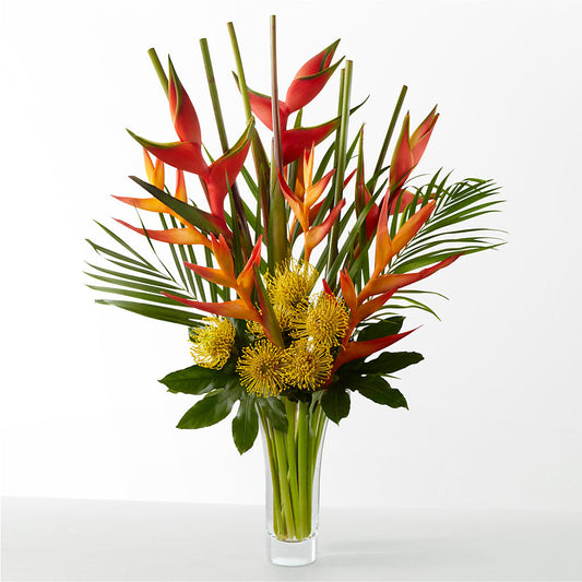 The Drama – MR K'S FLOWERS, Littleton CO