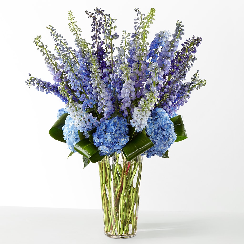 The Editorial – MR K'S FLOWERS, Littleton CO