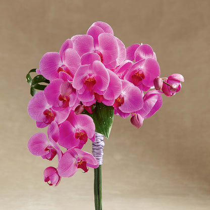 Glorious Bouquet – MR K'S FLOWERS, Littleton CO