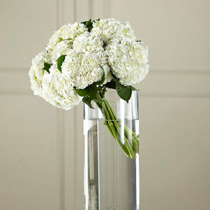White Hydrangea Hand-Tied Bouquet – MR K'S FLOWERS, Littleton CO