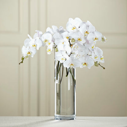 White Phalaenopsis Bouquet – MR K'S FLOWERS, Littleton CO