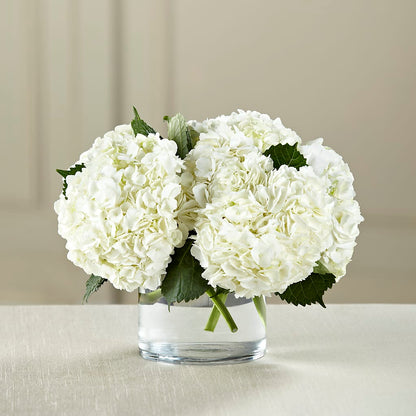 White Hydrangea Bouquet – MR K'S FLOWERS, Littleton CO