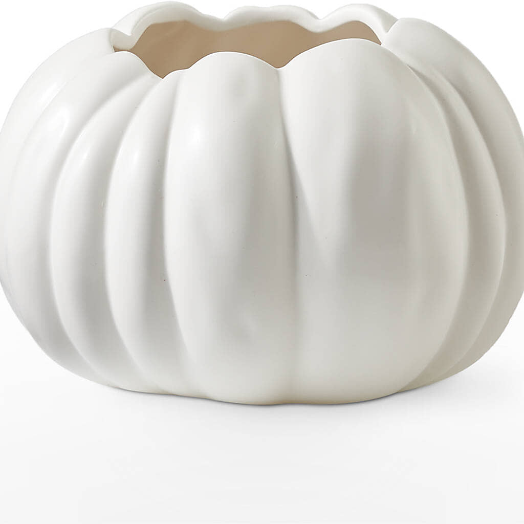 Pumpkin to Talk About Bouquet – MR K'S FLOWERS, Littleton CO